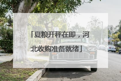 夏粮开秤在即，河北收购准备就绪