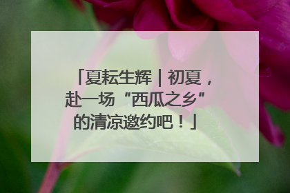 夏耘生辉｜初夏，赴一场“西瓜之乡”的清凉邀约吧！