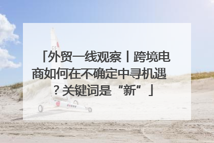外贸一线观察丨跨境电商如何在不确定中寻机遇？关键词是“新”