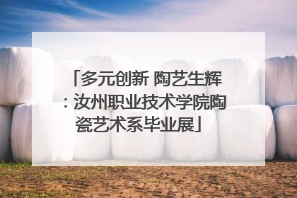 多元创新 陶艺生辉：汝州职业技术学院陶瓷艺术系毕业展