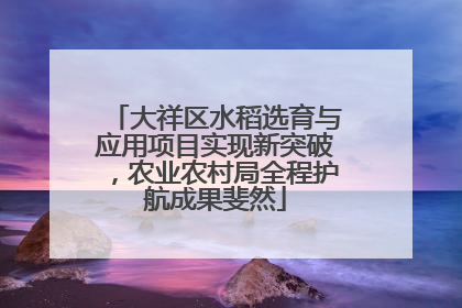 大祥区水稻选育与应用项目实现新突破，农业农村局全程护航成果斐然