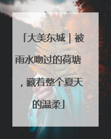 大美东城｜被雨水吻过的荷塘，藏着整个夏天的温柔
