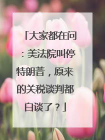 大家都在问：美法院叫停特朗普，原来的关税谈判都白谈了？