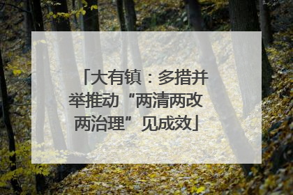 大有镇：多措并举推动“两清两改两治理”见成效