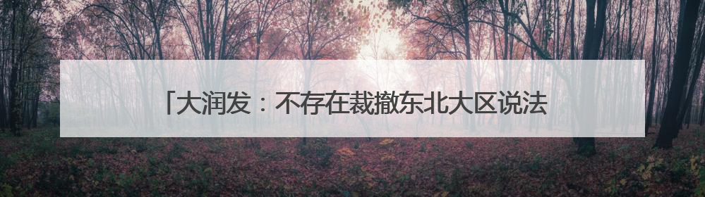 大润发：不存在裁撤东北大区说法，全国五大营运区整合提效为四个