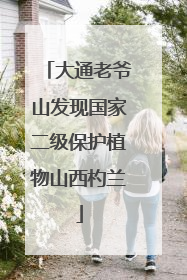 大通老爷山发现国家二级保护植物山西杓兰
