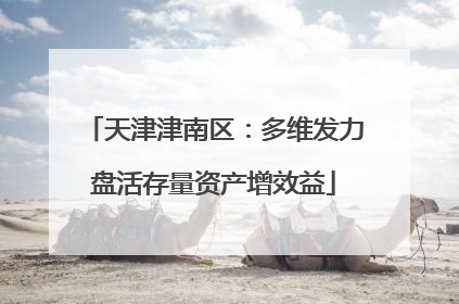 天津津南区：多维发力盘活存量资产增效益