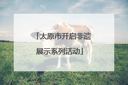 太原市开启非遗展示系列活动