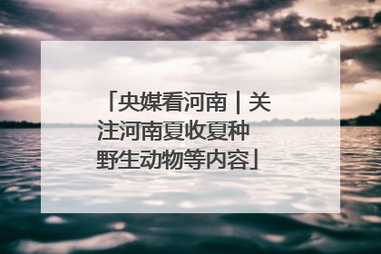 央媒看河南｜关注河南夏收夏种 野生动物等内容