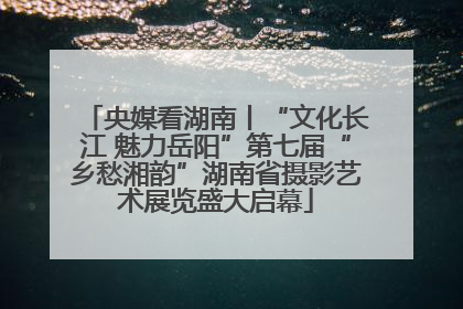央媒看湖南丨“文化长江 魅力岳阳”第七届“乡愁湘韵”湖南省摄影艺术展览盛大启幕