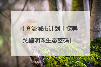 奔流城市计划丨探寻戈壁明珠生态密码