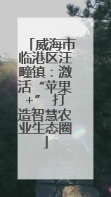 威海市临港区汪疃镇：激活“苹果+” 打造智慧农业生态圈