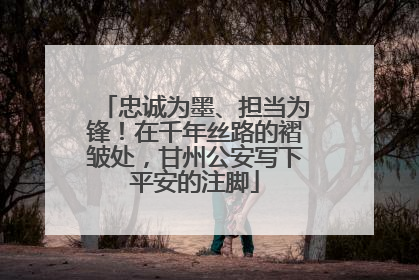忠诚为墨、担当为锋！在千年丝路的褶皱处，甘州公安写下平安的注脚