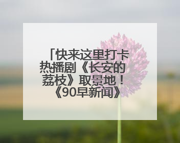快来这里打卡热播剧《长安的荔枝》取景地！《90早新闻》来了
