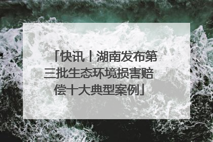 快讯丨湖南发布第三批生态环境损害赔偿十大典型案例