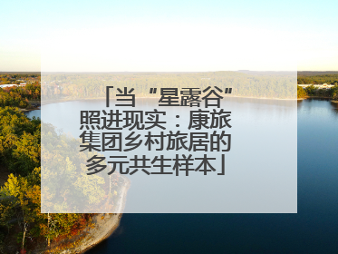 当“星露谷”照进现实：康旅集团乡村旅居的多元共生样本