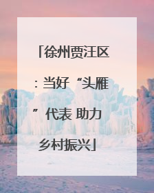 徐州贾汪区：当好“头雁”代表 助力乡村振兴