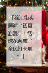 徐汇街头邂逅“初夏浪漫”！绣球花海成“全民打卡地”