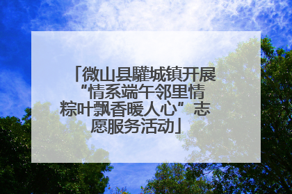微山县驩城镇开展“情系端午邻里情 粽叶飘香暖人心”志愿服务活动
