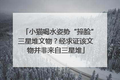 小猫喝水姿势“撞脸”三星堆文物？经求证该文物并非来自三星堆