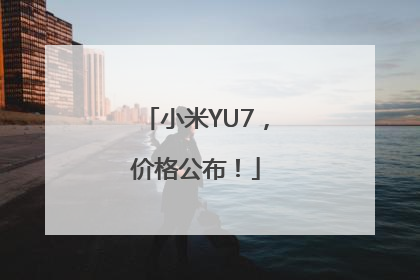 小米YU7，价格公布！