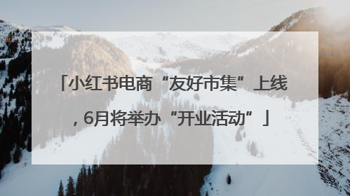 小红书电商“友好市集”上线，6月将举办“开业活动”