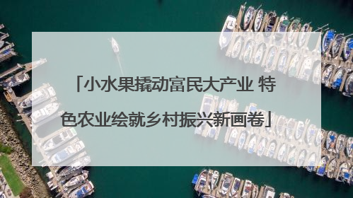 小水果撬动富民大产业 特色农业绘就乡村振兴新画卷