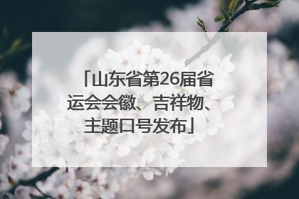山东省第26届省运会会徽、吉祥物、主题口号发布