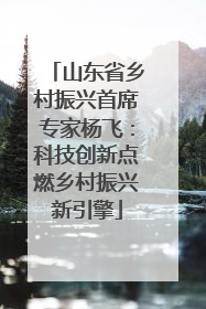山东省乡村振兴首席专家杨飞：科技创新点燃乡村振兴新引擎