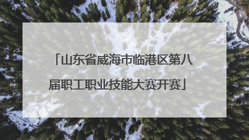 山东省威海市临港区第八届职工职业技能大赛开赛