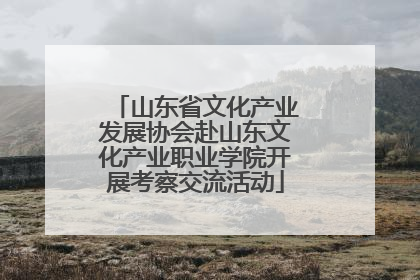 山东省文化产业发展协会赴山东文化产业职业学院开展考察交流活动