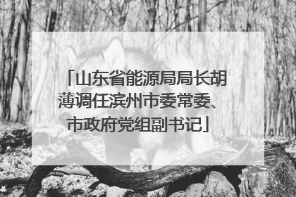 山东省能源局局长胡薄调任滨州市委常委、市政府党组副书记