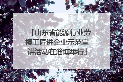 山东省能源行业劳模工匠进企业示范宣讲活动在淄博举行