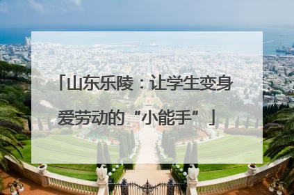 山东乐陵：让学生变身爱劳动的“小能手”