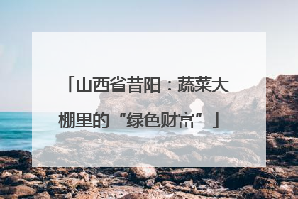山西省昔阳：蔬菜大棚里的“绿色财富”