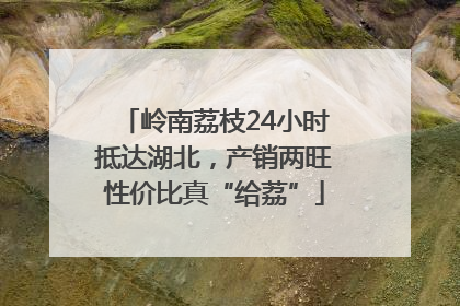 岭南荔枝24小时抵达湖北，产销两旺性价比真“给荔”