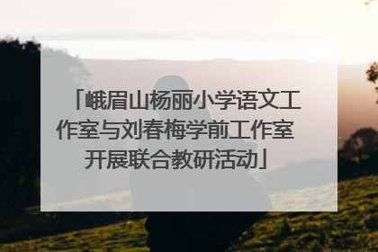 峨眉山杨丽小学语文工作室与刘春梅学前工作室开展联合教研活动