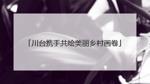 川台携手共绘美丽乡村画卷