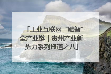 工业互联网“赋智”全产业链｜贵州产业新势力系列报道之八
