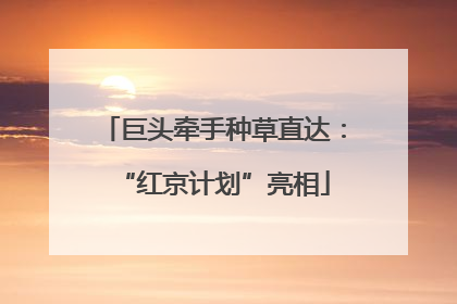 巨头牵手种草直达：“红京计划”亮相