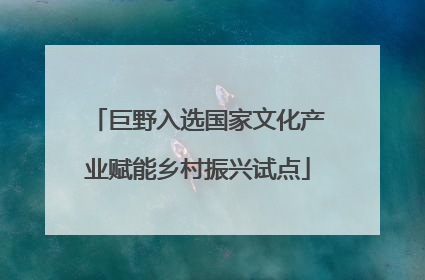巨野入选国家文化产业赋能乡村振兴试点