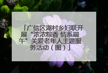广信区湖村乡妇联开展“浓浓粽香 情系端午”关爱老年人主题服务活动（图）