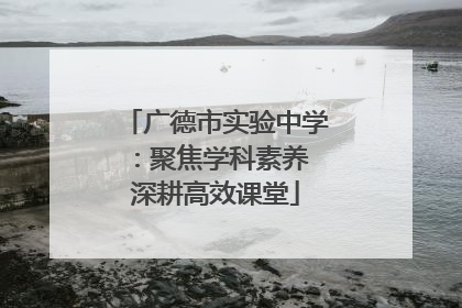 广德市实验中学：聚焦学科素养 深耕高效课堂
