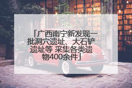 广西南宁新发现一批洞穴遗址、大石铲遗址等 采集各类遗物400余件