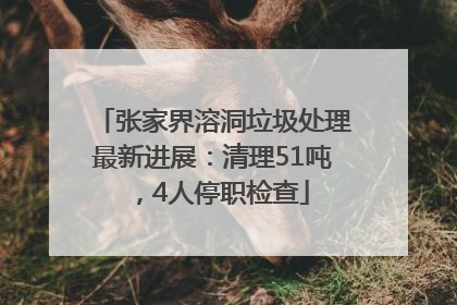 张家界溶洞垃圾处理最新进展：清理51吨，4人停职检查