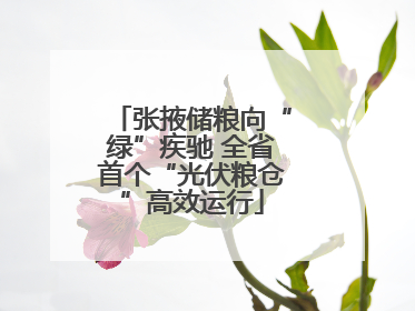 张掖储粮向“绿”疾驰 全省首个“光伏粮仓”高效运行