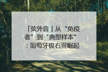 弦外音｜从“免疫者”到“典型样本”：葡萄牙极右翼崛起背后的欧洲困局