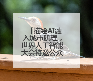 描绘AI融入城市肌理，世界人工智能大会将邀公众打卡“内环中环外环”