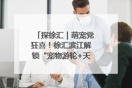 探徐汇｜萌宠党狂喜！徐汇滨江解锁“宠物游轮+天台乐园”双玩法