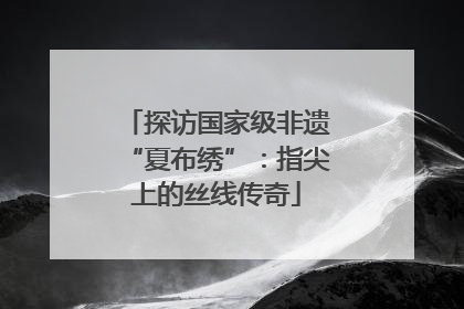 探访国家级非遗“夏布绣”：指尖上的丝线传奇